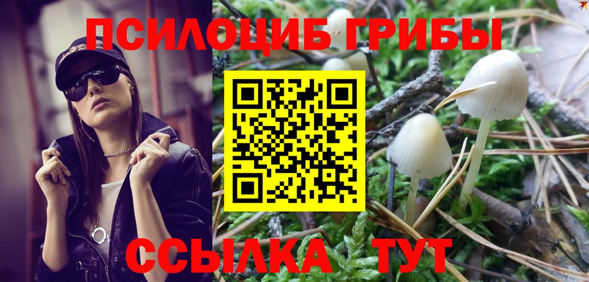 Полысаево  Галлюциногенные грибы Cubensis  Вход с VPN 