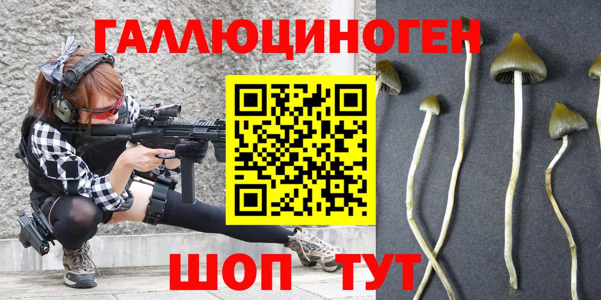 Псилоцибиновые грибы Magic Shrooms Полысаево